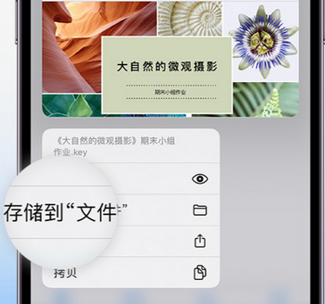 图木舒克apple维修中心分享iPhone文件应用中存储和找到下载文件