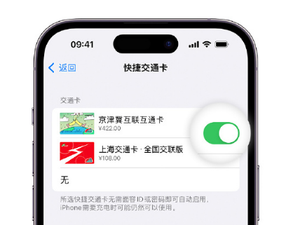 图木舒克apple维修点分享iPhone上更换Apple Pay快捷交通卡手绘卡面 