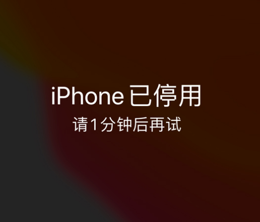 图木舒克苹果手机维修分享:iPhone 显示“不可用”或“已停用”怎么办？还能保留数据吗？ 