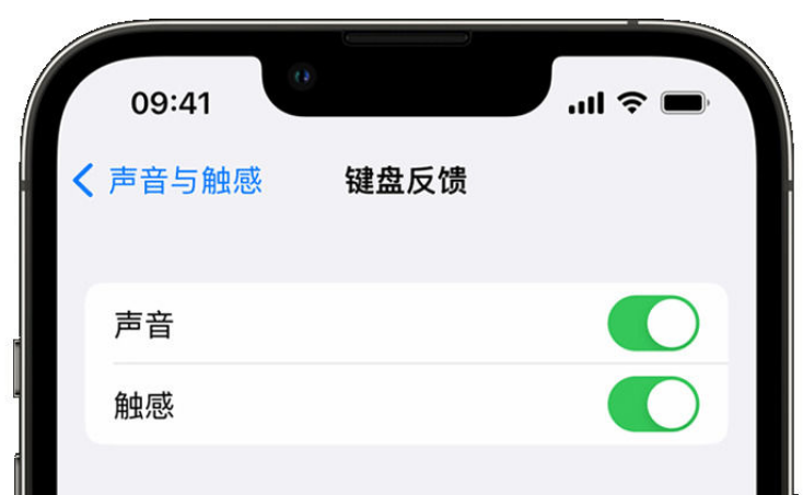 图木舒克苹果手机维修分享iPhone 14触感键盘使用方法 