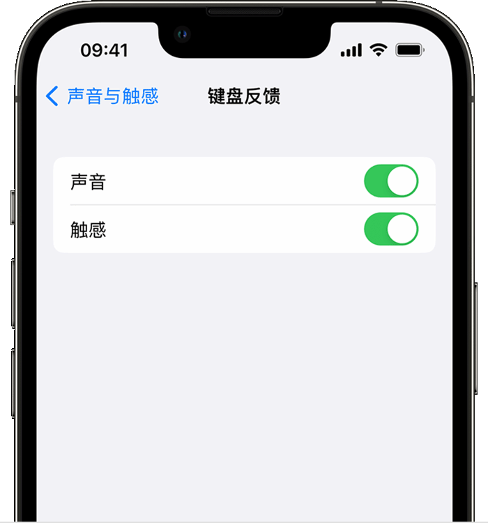 图木舒克苹果14维修店分享如何在 iPhone 14 机型中使用触感键盘 