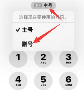 图木舒克苹果14维修店分享iPhone 14 Pro Max使用副卡打电话的方法 