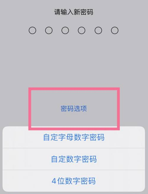 图木舒克苹果14维修分享iPhone 14plus设置密码的方法 