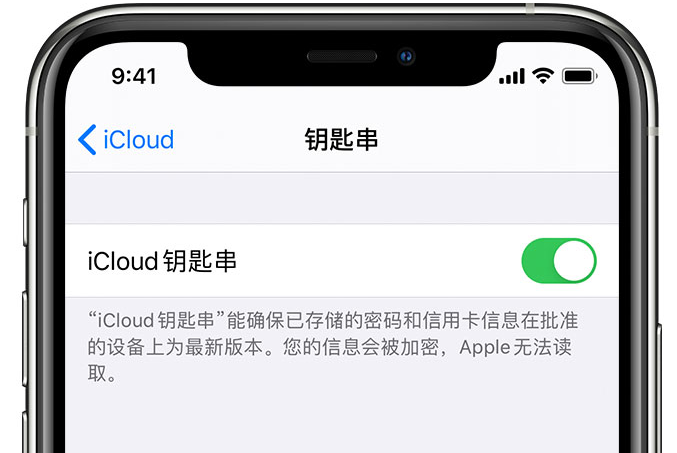 图木舒克苹果手机维修分享在 iPhone 上开启 iCloud 钥匙串之后会储存哪些信息 