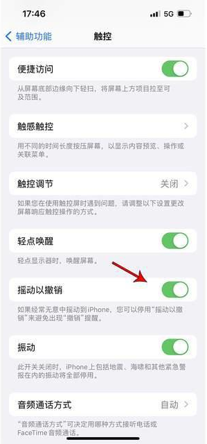 图木舒克苹果手机维修分享iPhone手机如何设置摇一摇删除文字 